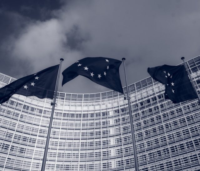 The EU’s AI Act